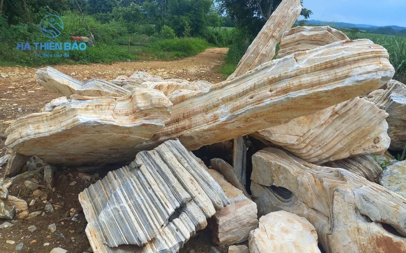 Hà Thiên Bảo là đơn vị uy tín hàng đầu tại Việt Nam, chuyên cung cấp đá cổ thạch tự nhiên