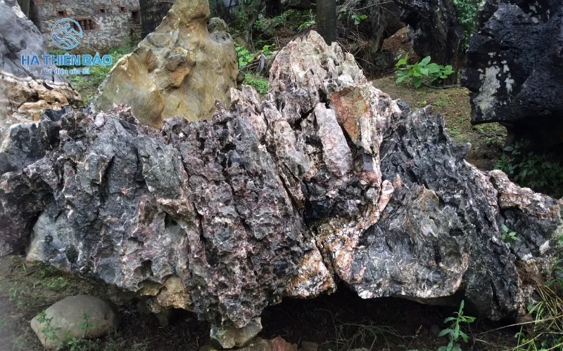 Đá da báo là món quà quý giá từ những dãy núi đá miền Trung Việt Nam