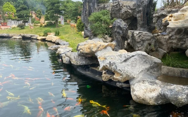 Đá lũa giúp hồ cá Koi trở nên gần gũi hơn với tự nhiên nhờ hình dáng tự do, mềm mại