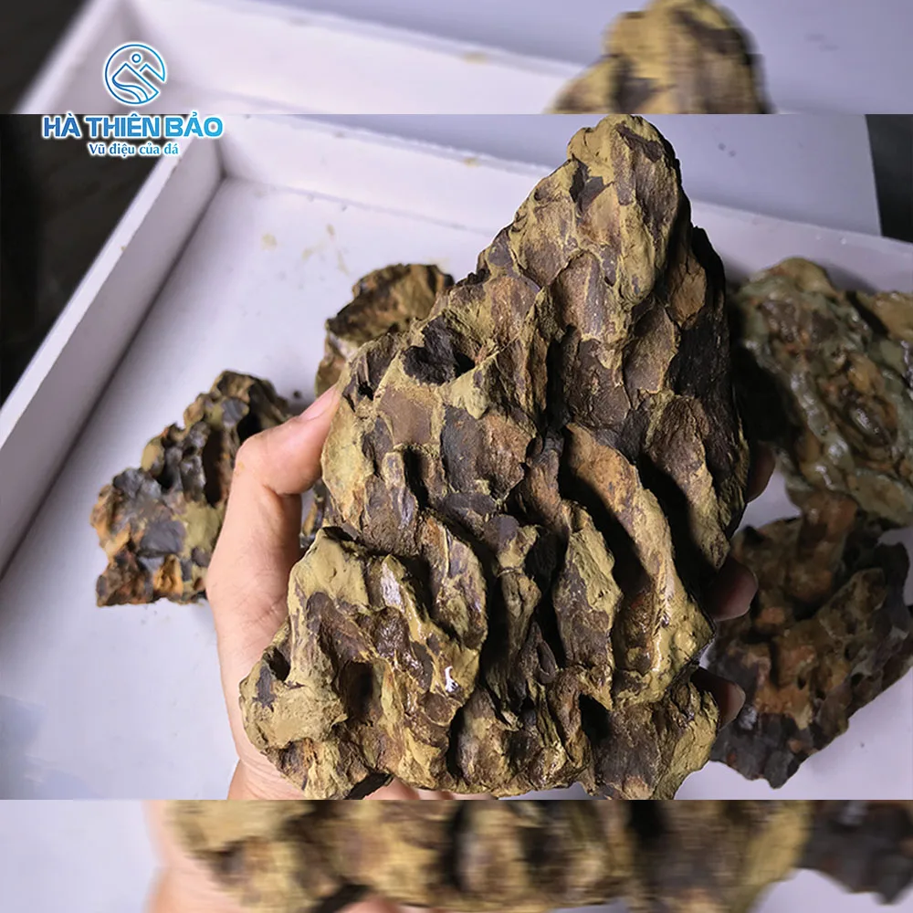 ĐÁ TIGER 3 Đá Tiger là đá cảnh tự nhiên độc đáo và giàu giá trị thẩm mỹ