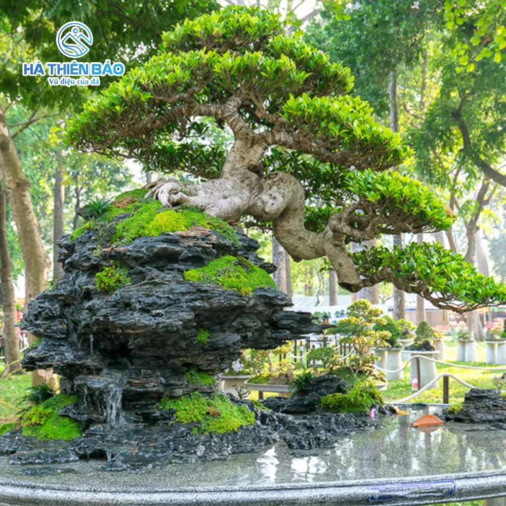 Thiết kế tiểu cảnh sân vườn bằng đá xếp lớp