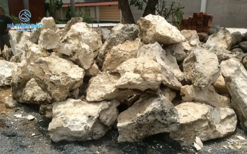 ĐÁ SAN HÔ 2 Đá san hô được hình thành từ xác của các sinh vật biển