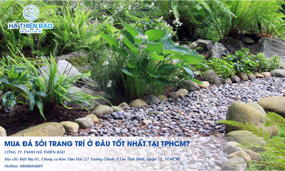 Mua đá sỏi trang trí ở đâu