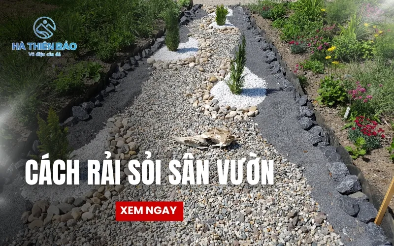 Cách rải sỏi sân vườn