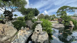 Trang blogs cũ 17 b dcanh 1