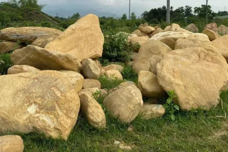 cuoi-vang (1)