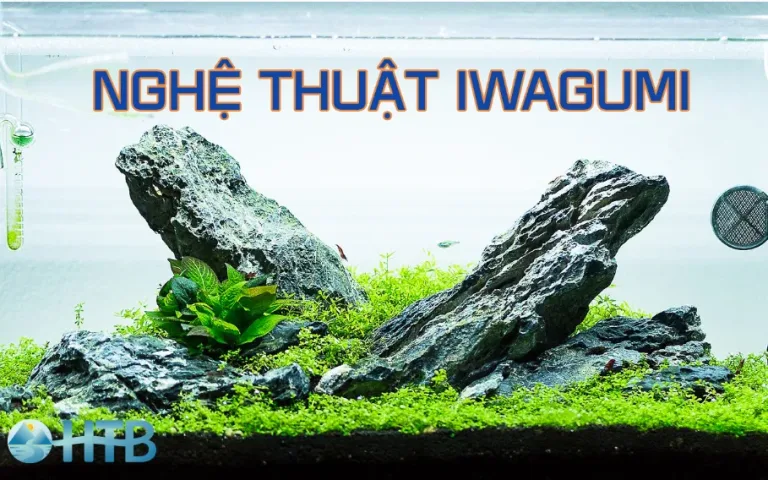 iwagumi