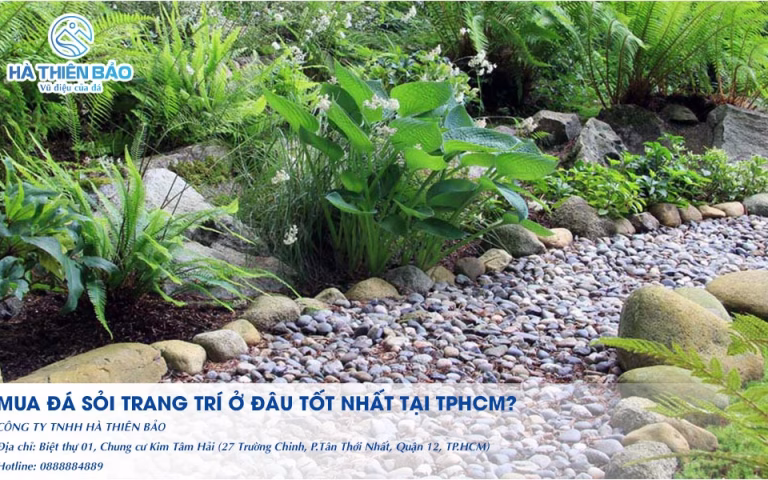 Mua đá sỏi trang trí ở đâu